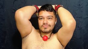 AlejoWolf vibrator lj image