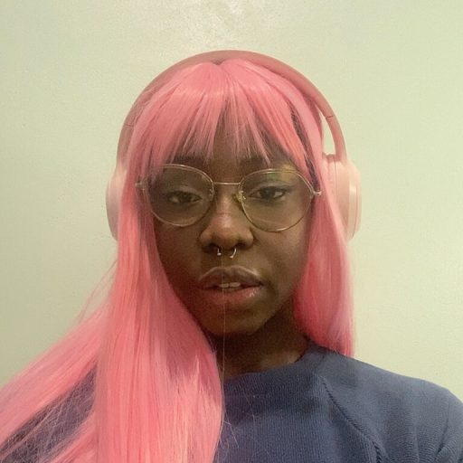 AminetaDuke strip amateur image