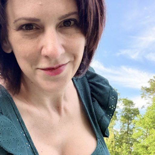 AryaLuxe ass vibrator image