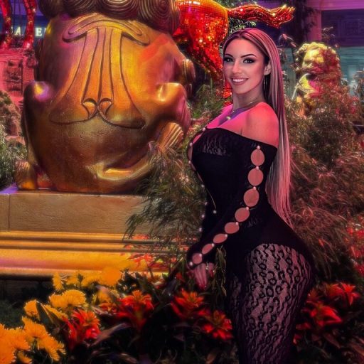 AshleyLoren online shows image