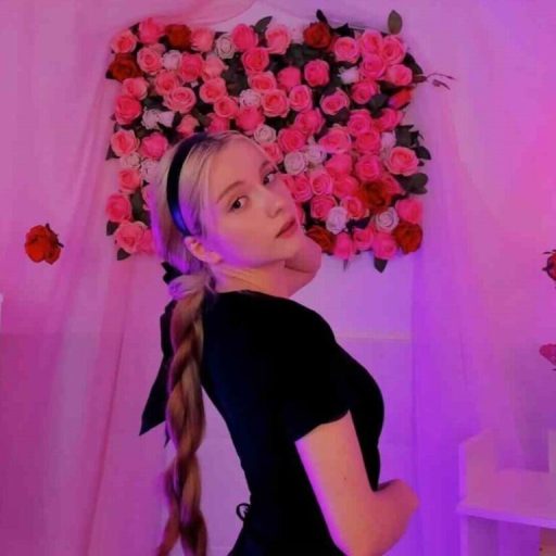 AuroraWrenfield toy jasmin image