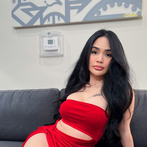 Babelicious pictures toy image