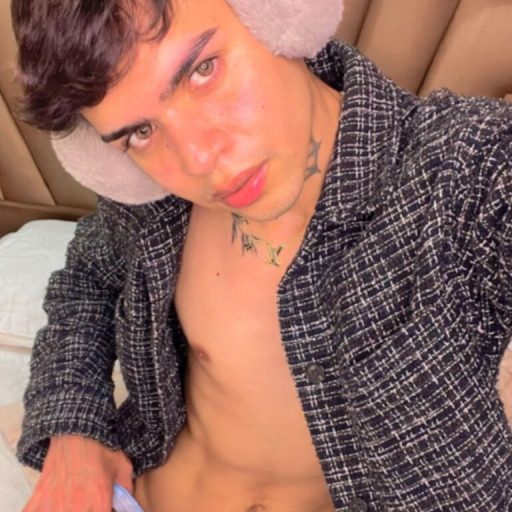 BrattWolf webcam free image