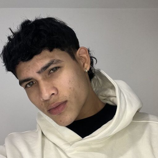 BryanRamos porn anal image