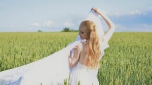 CarlaWood preview