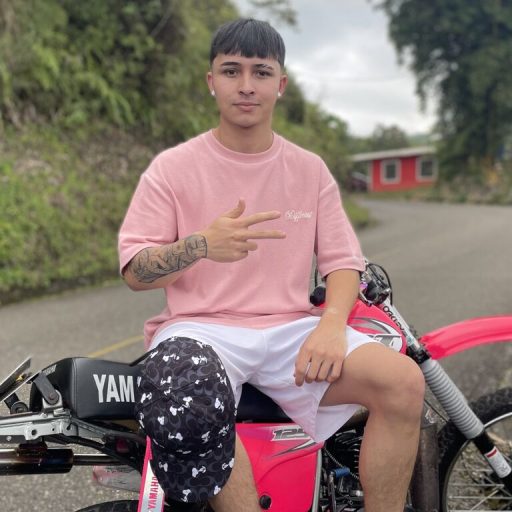 DamienSmith pictures toy image