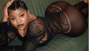 DaniellaBrow preview