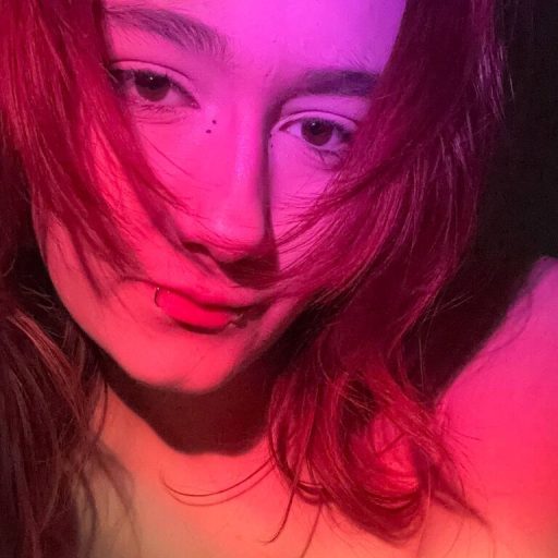 DianScullion video photos image