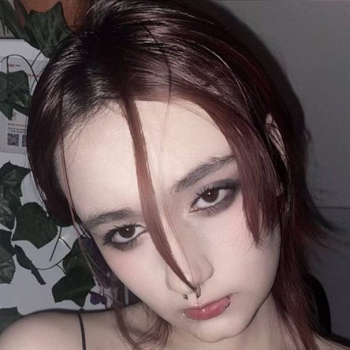 DianScullion video photos image