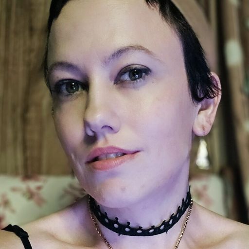 FleurLis webcam free image
