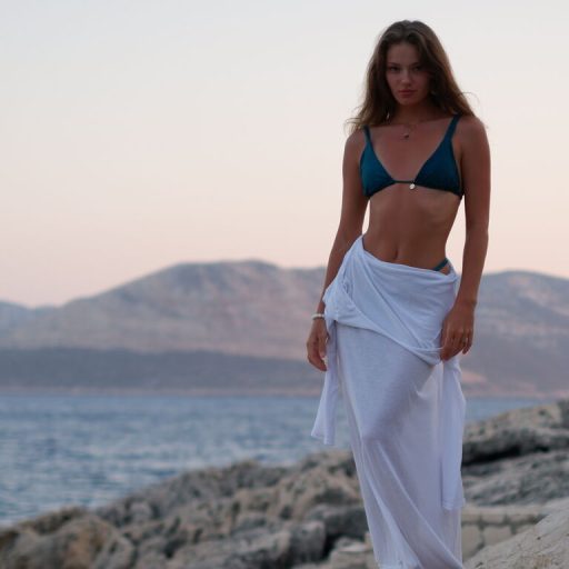 GabrielSwan pictures toy image