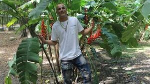 GeorgeRubioo preview