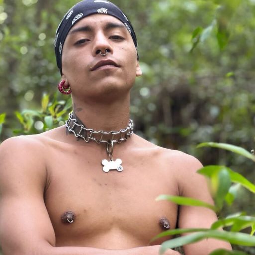 JaydenRoux online shows image
