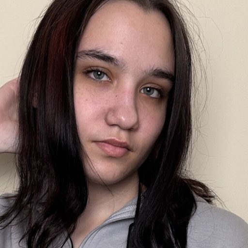 LeraMednis pictures toy image