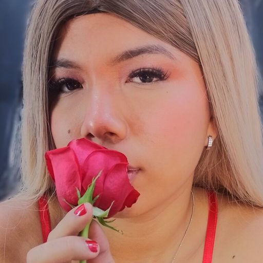 LisaPosada pictures toy image