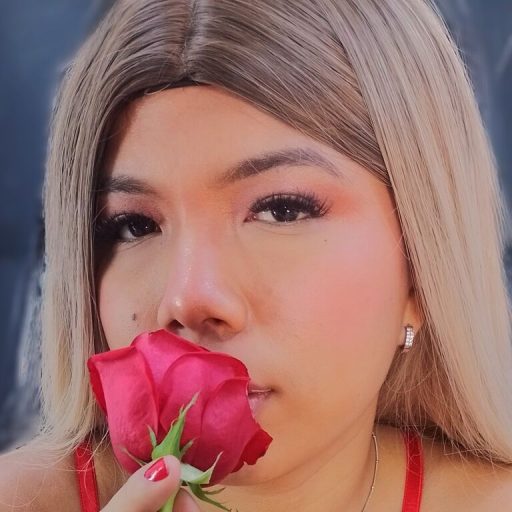 LisaPosada pictures toy image