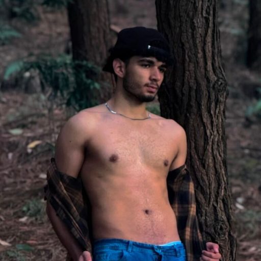 LucasTompson anal videos image