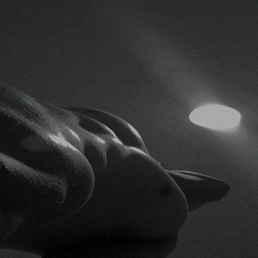 MassimoMorrone livesex pussy image