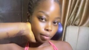 MikkyMiconia preview