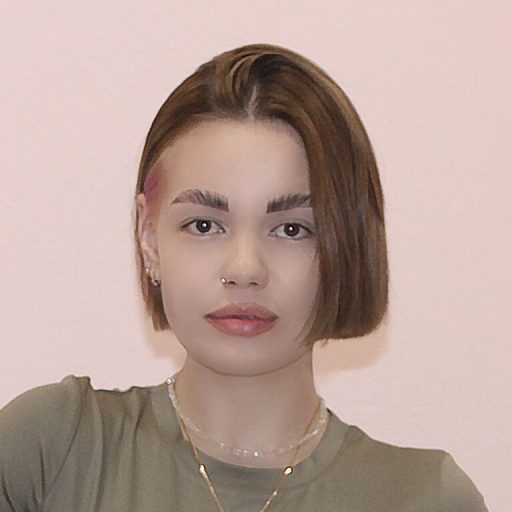 NikoSky live video image