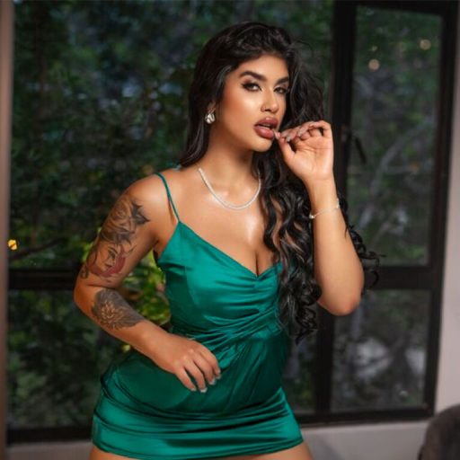 NinnaZambrano porn anal image