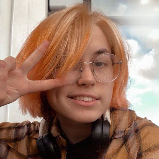 RoniFox shows recorded image