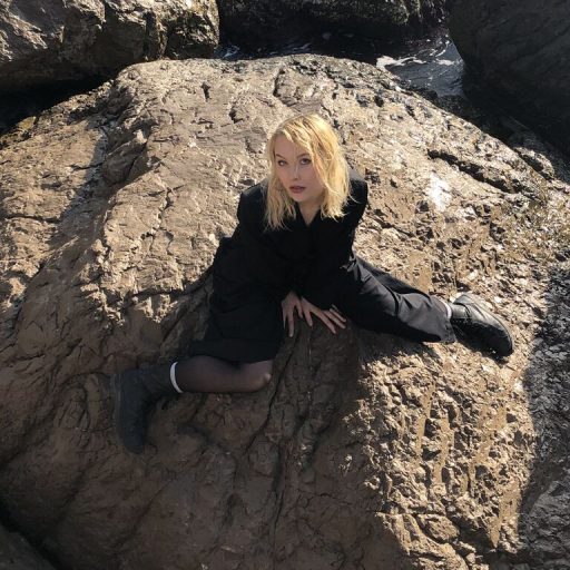 SallyStell online shows image