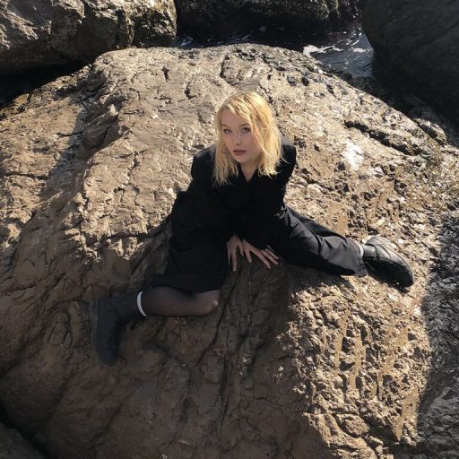 SallyStell online shows image