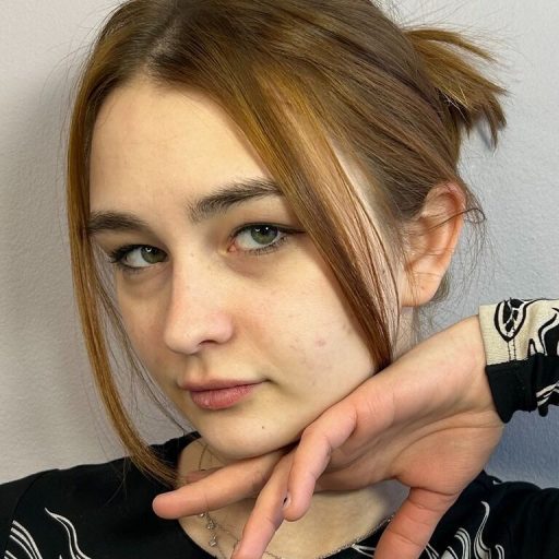 SalomePaster shows recorded image