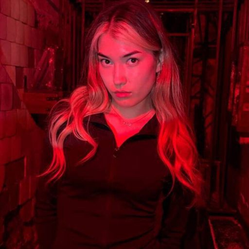 ShaneLungsford pictures toy image