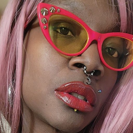 SofiaSage shows recorded image