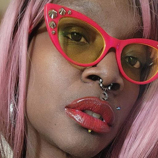 SofiaSage shows recorded image