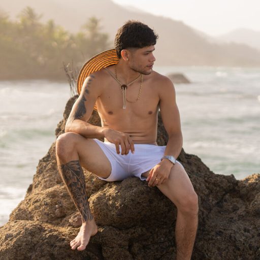 StevenLisvoa naked porn image