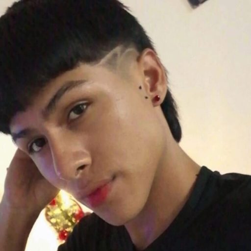 StormLux recorded live image