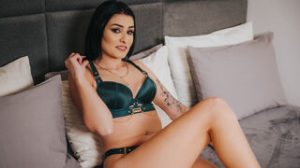 VickyTray preview