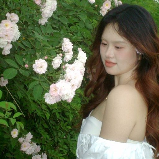 ZengZhu pictures toy image